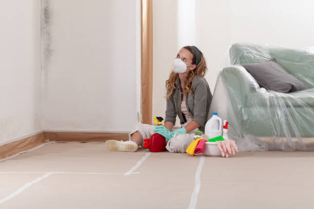 Reliable Attic Mold Removal contractor in Carrboro, NC by WQB Mold Removal